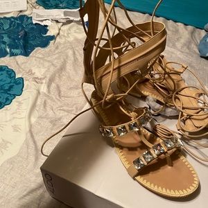 Aldo Marciel Gladiator